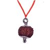 Rudraksha14 Mukhi