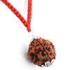 4 Mukhi Rudraksha