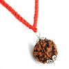 Rudraksha 5 Mukhi