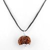 Rudraksha 6 Mukhi