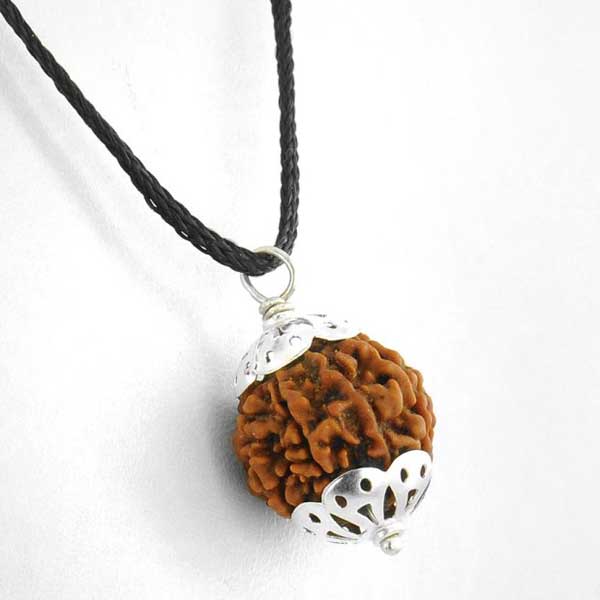 Rudraksha 8 Mukhi