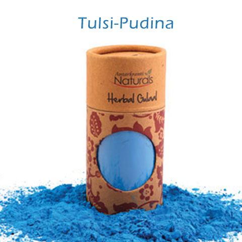 Antarkranti-Multicolor-Herbal-Holi-Tulasi-pudina