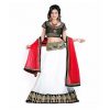 Designer Lehenga with velvet Blouse